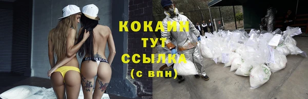 ешки Покровск
