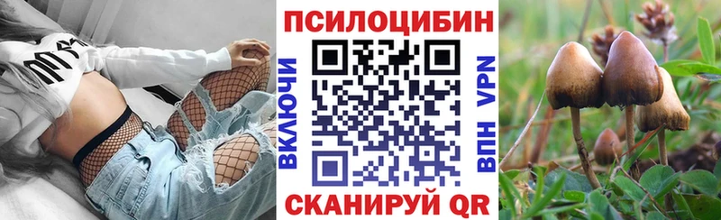 Галлюциногенные грибы Cubensis  маркетплейс состав  Тулун 
