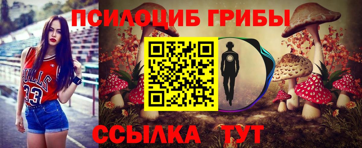 Галлюциногенные грибы Psilocybine cubensis Тулун