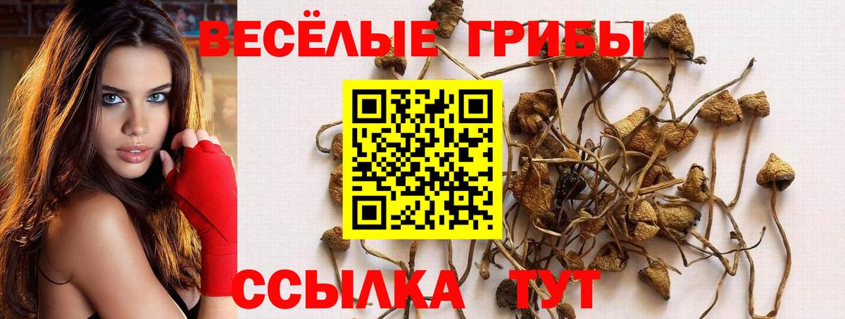 Тулун  Галлюциногенные грибы ЛСД  где можно купить наркотик  Псилоцибиновые грибы MAGIC MUSHROOMS  Вход с VPN 